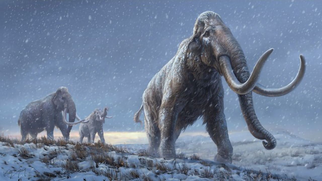 Scientists Extract and Sequence Million-Year-Old Mammoth DNA