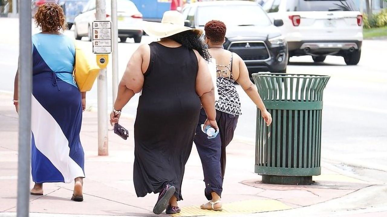 Understanding of Body's Immune Response to Obesity Clarified