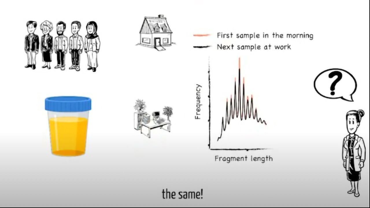 DNA in Urine for Liquid Biopsy of Cancer