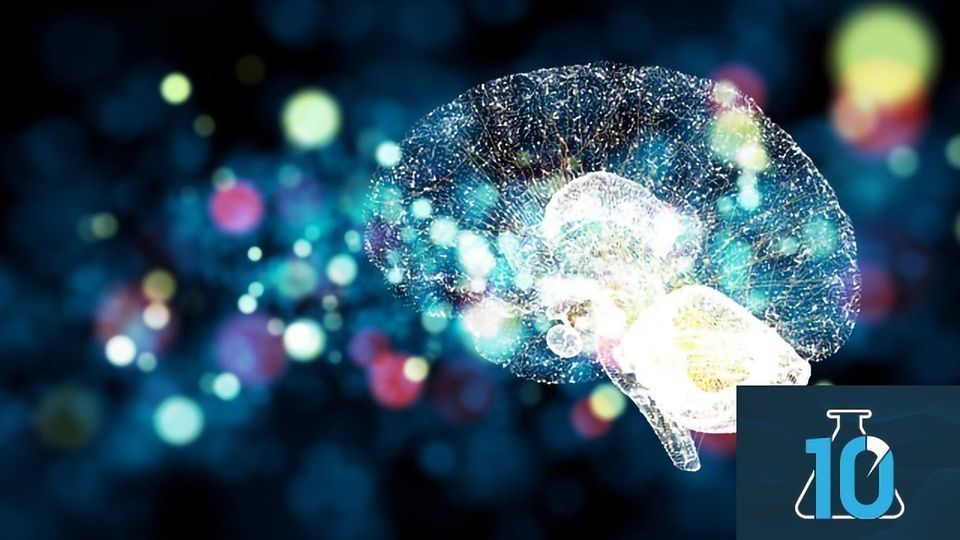 What Is Neuroplasticity? With Dr Michael Merzenich content piece image