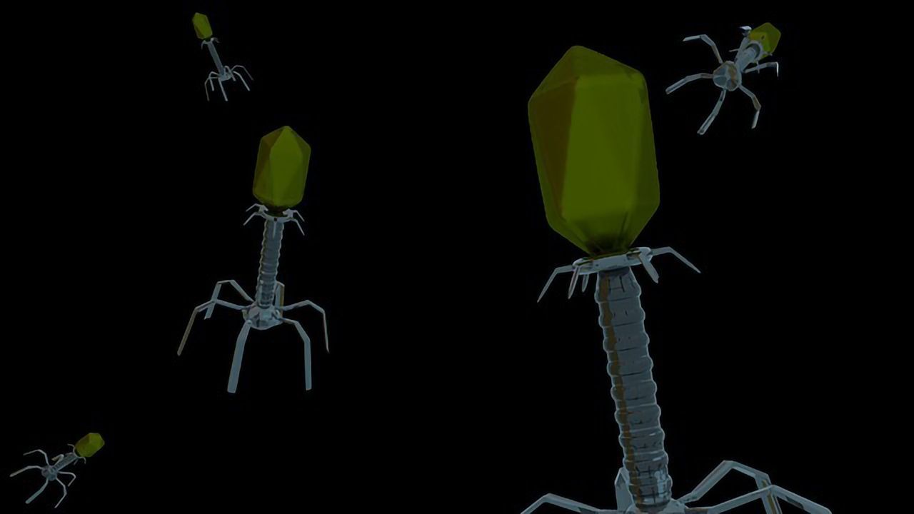 140,000 Virus Species Found in the Human Gut