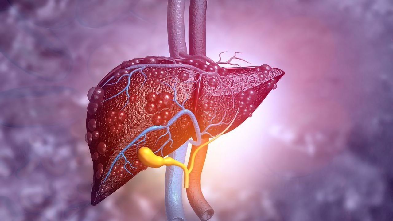 Lab-Grown "Mini-Bile Ducts" Used To Repair Human Livers