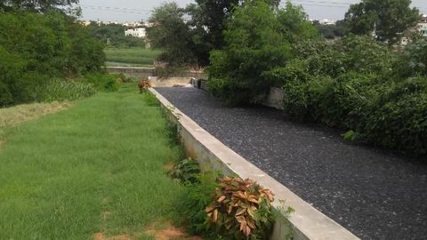 Nature Sanitizes 41.7 Million Tons of City's Human Waste a Year Globally