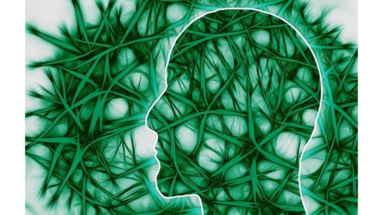 Brain Circuit Explains How We Change Behavior After a Mistake