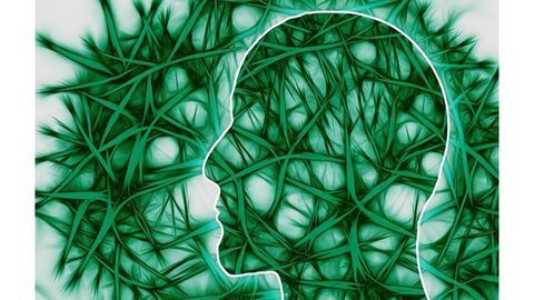 Brain Circuit Explains How We Change Behavior After a Mistake