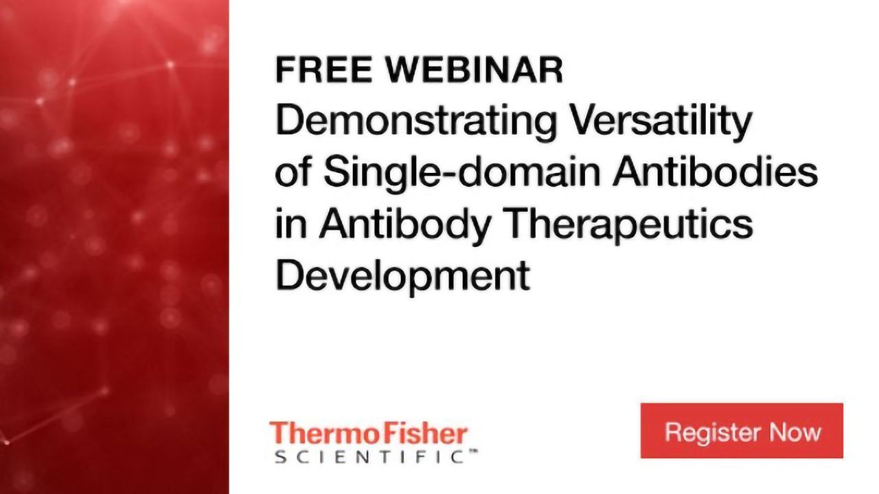 Demonstrating Versatility of Single-Domain Antibodies in Antibody Therapeutics Development