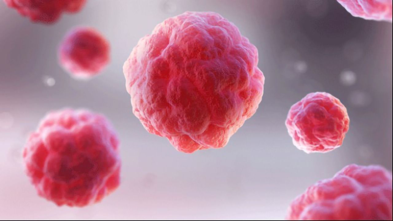 Exploring How Epithelial Tumors Cause Developmental Delays