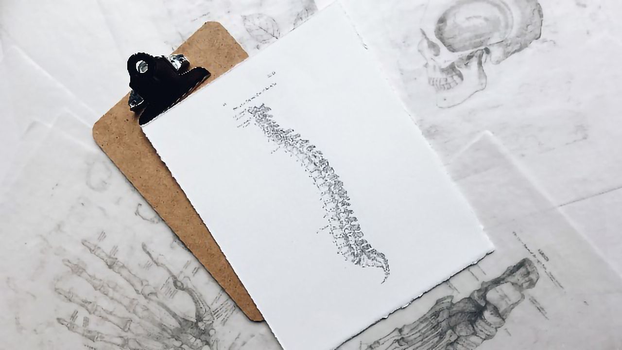 Scientists Repair Injured Spinal Cord Using Patients’ Own Stem Cells