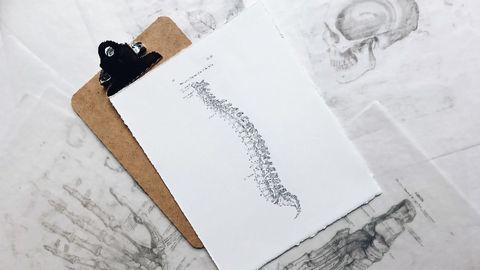 Scientists Repair Injured Spinal Cord Using Patients’ Own Stem Cells