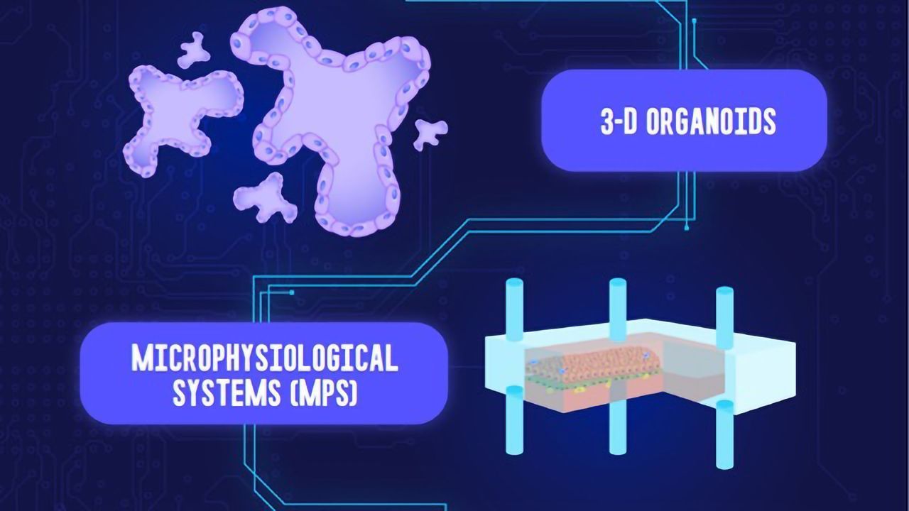 Microphysiological Systems