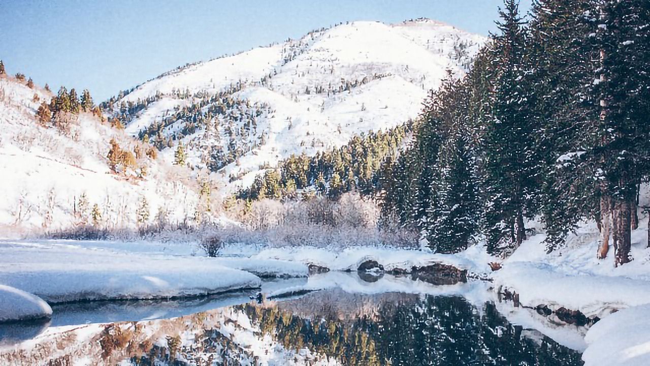 How Seasonal Changes Influence Our Brain