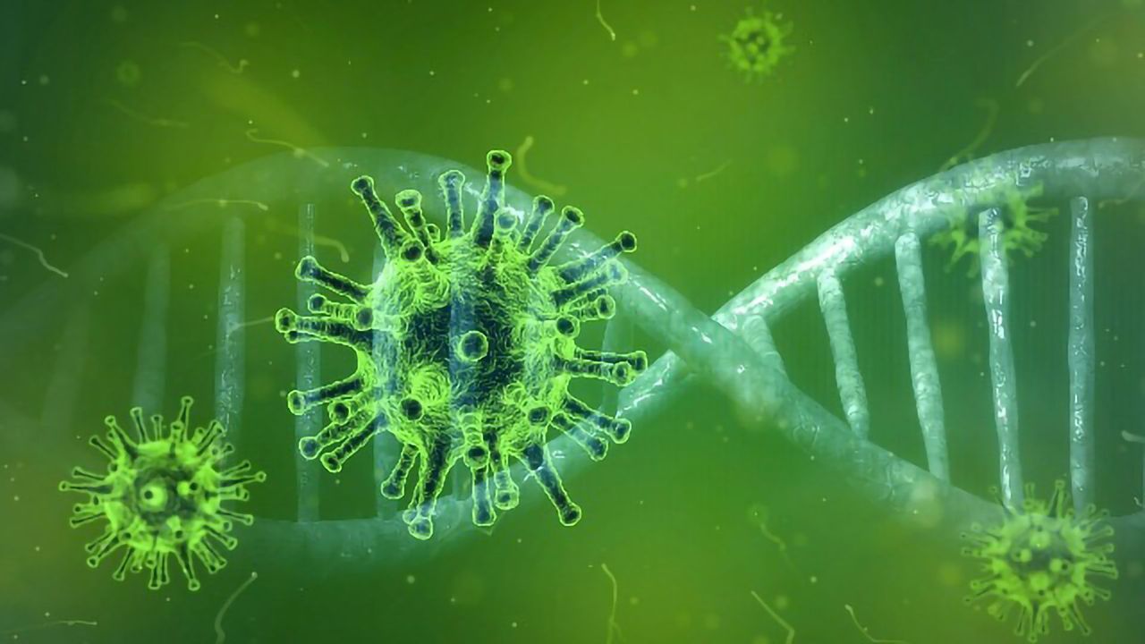 Two New Rapid COVID-19 Diagnostic Tests Developed