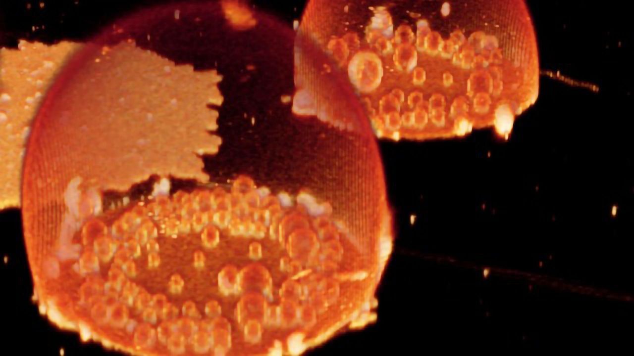 Evidence That Protocells Could Have Made Specialized Compartments