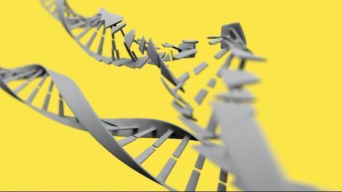 New Gene-Editing Tool Allows Programming for Cuts Over Time