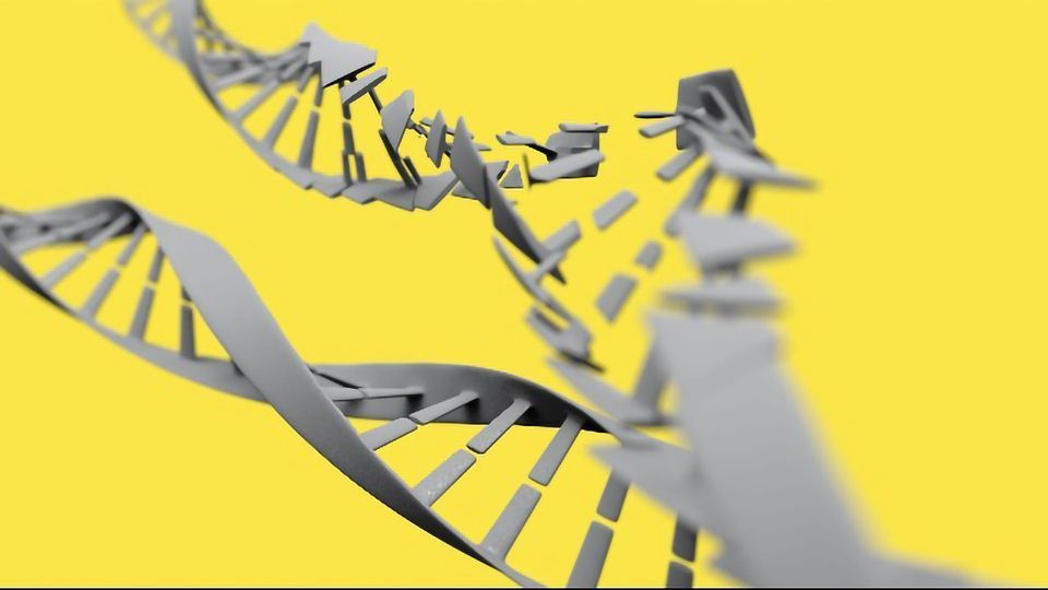 New Gene-Editing Tool Allows Programming for Cuts Over Time content piece image