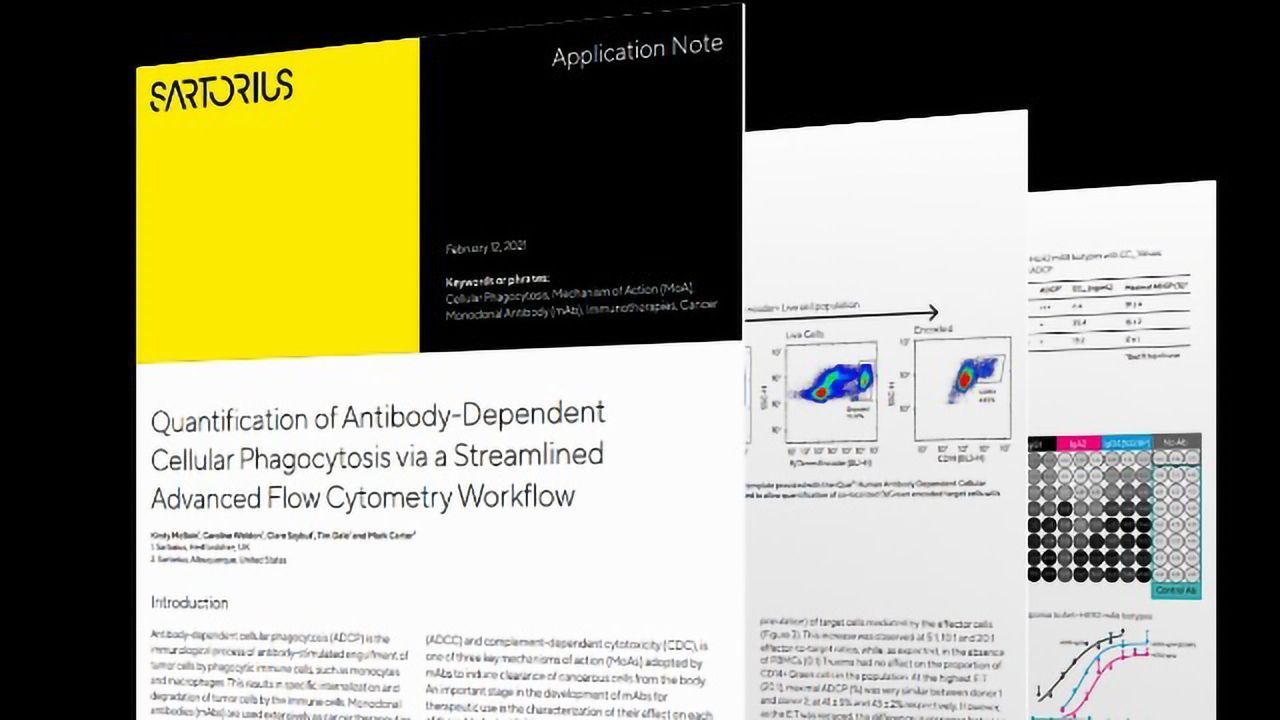 Achieve Robust Quantification of Antibody-Dependent Cellular Phagocytosis