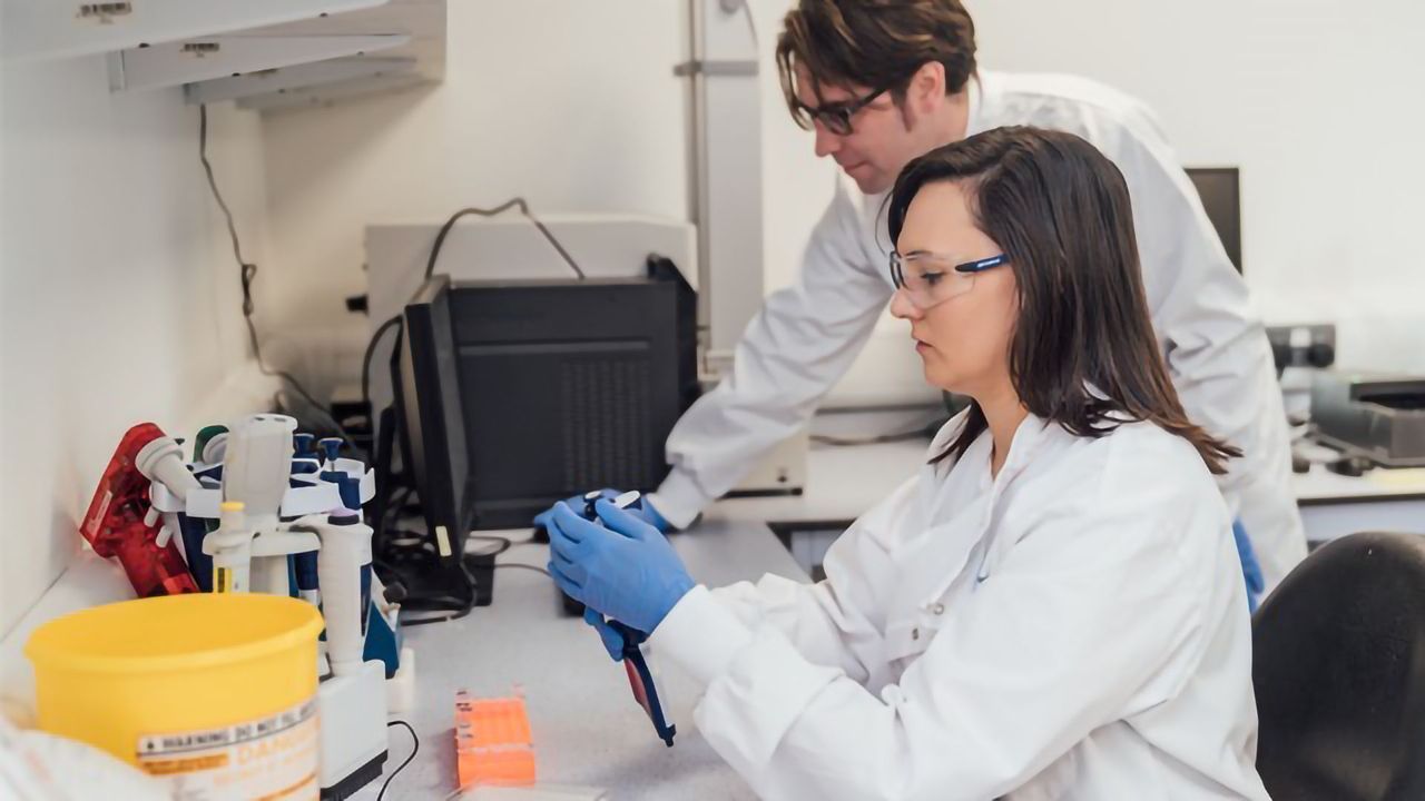 Fusion Antibodies Awarded Platinum Level Innovator Status by Innovate NI