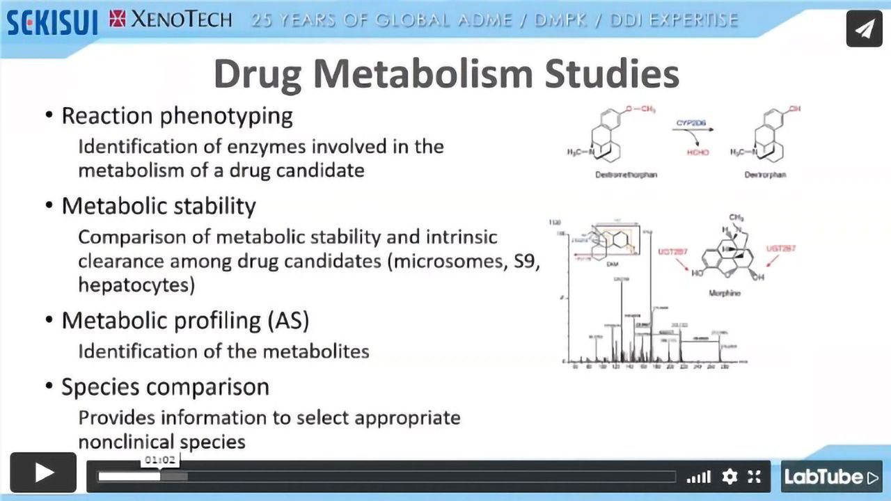 ADME 101 Drug Metabolism Webinar: Reaction Phenotyping Studies