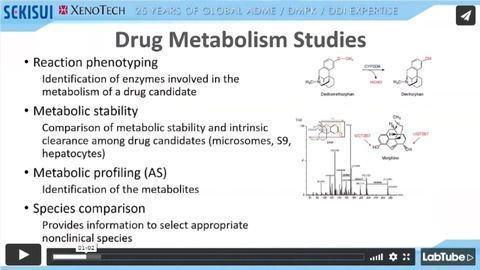 ADME 101 Drug Metabolism Webinar: Reaction Phenotyping Studies