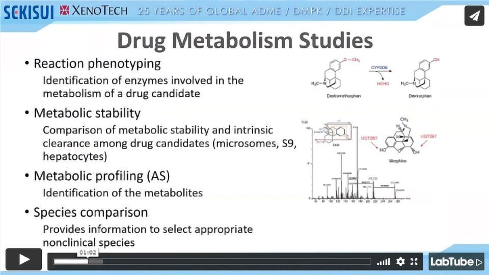 ADME 101 Drug Metabolism Webinar: Reaction Phenotyping Studies content piece image