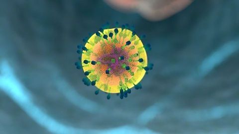 Metabolic Pathway for Memory T-Cell Production Mapped