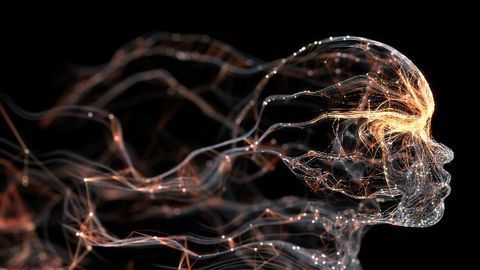 Model Could Give Epilepsy Patients a One-Hour Warning Before a Seizure