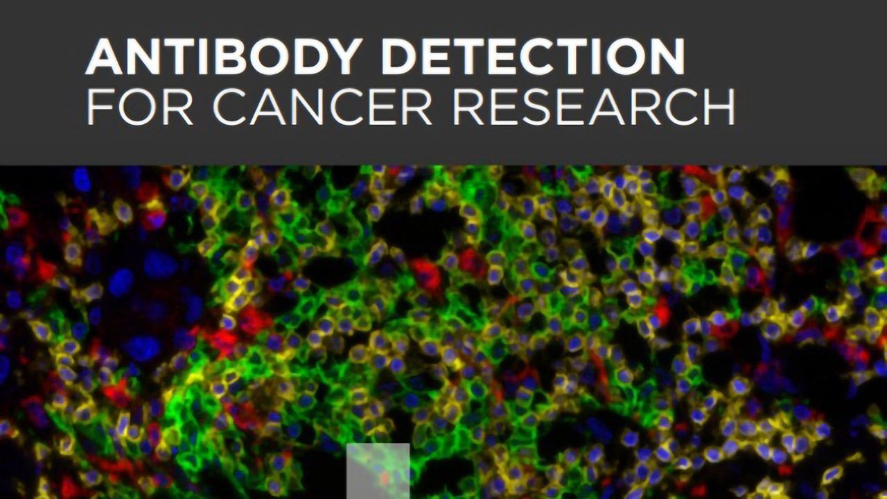 Antibody Detection for Cancer Research