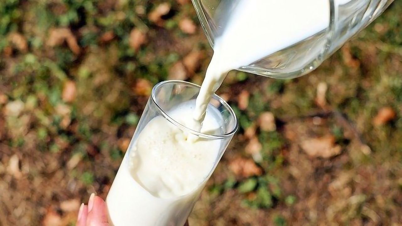 Demystifying Milk Composition Using Neutron Scattering