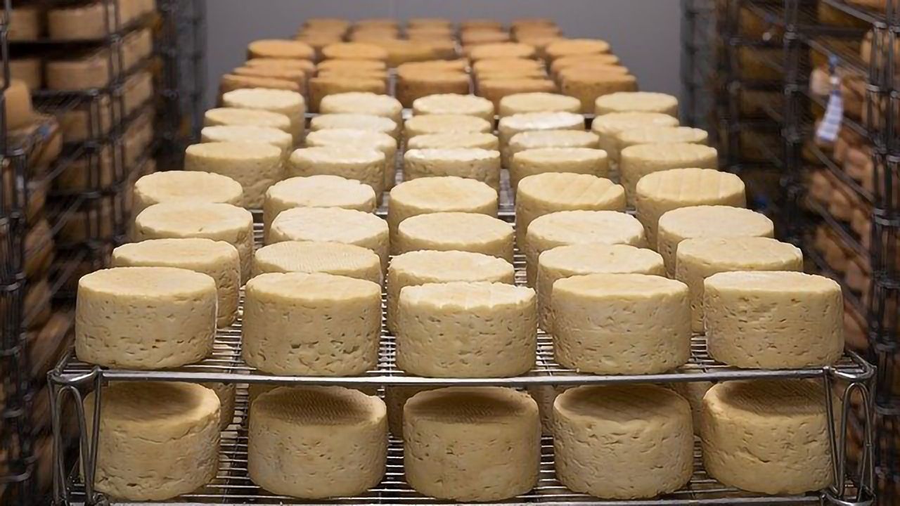 Taking the Guesswork Out of Cheese Production With Science