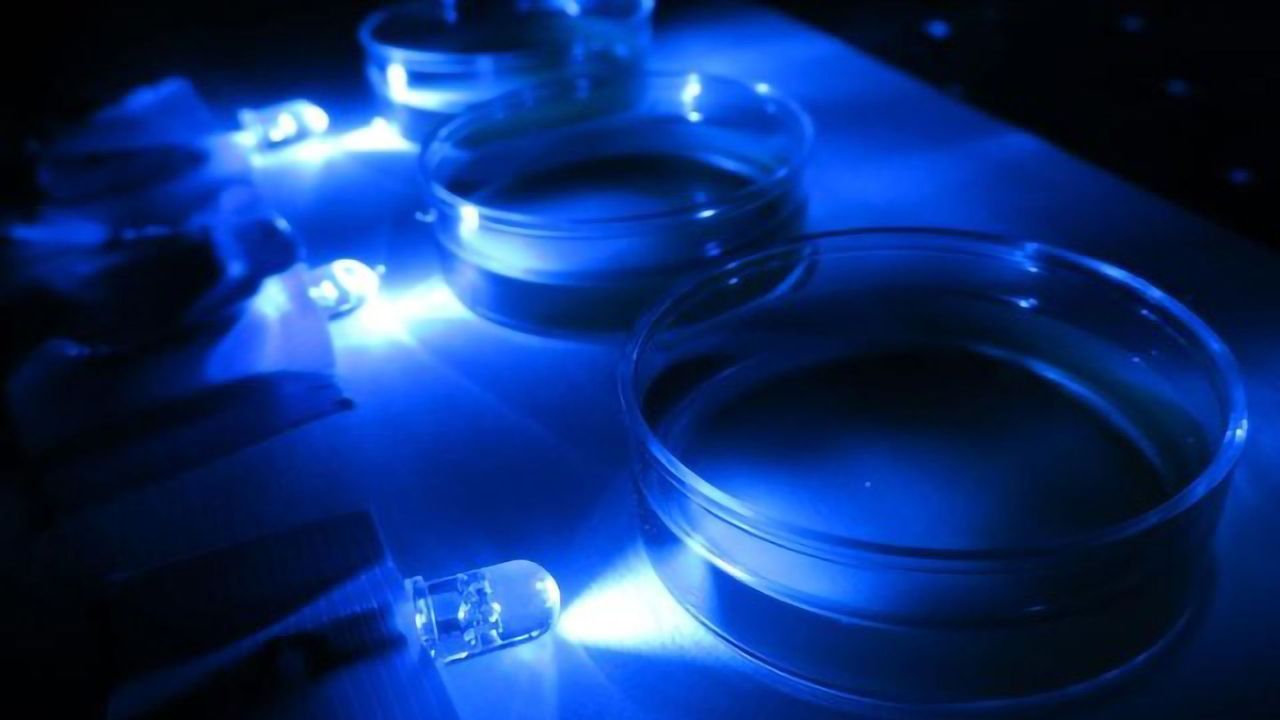How Cells Use Molecular Motors To Avoid Bright Light