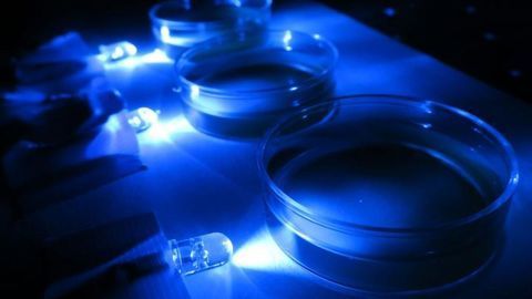 How Cells Use Molecular Motors To Avoid Bright Light