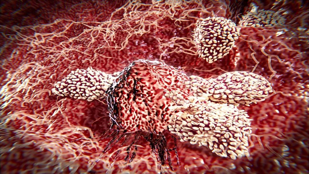 The Promise of Natural Killer Cells