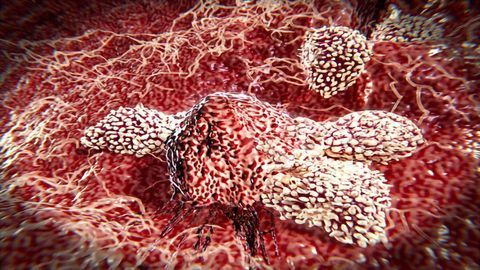 The Promise of Natural Killer Cells