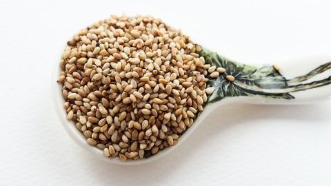 Food Ingredient Sesaminol Alleviates Parkinson’s Symptoms in Mice