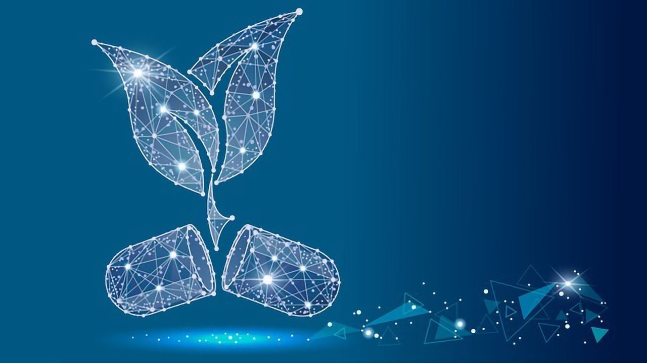 The Development of Plant-Based Medicines for Prescription