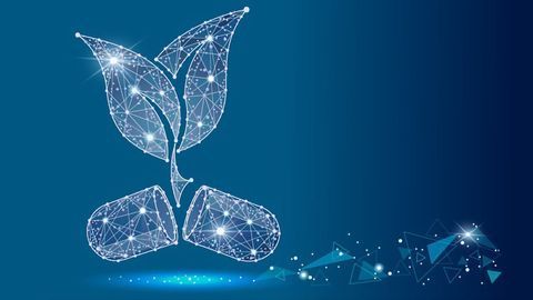 The Development of Plant-Based Medicines for Prescription