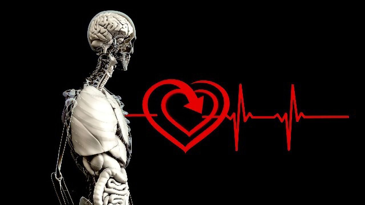 Using Stimuli-Responsive Biomaterials To Understand Heart Development
