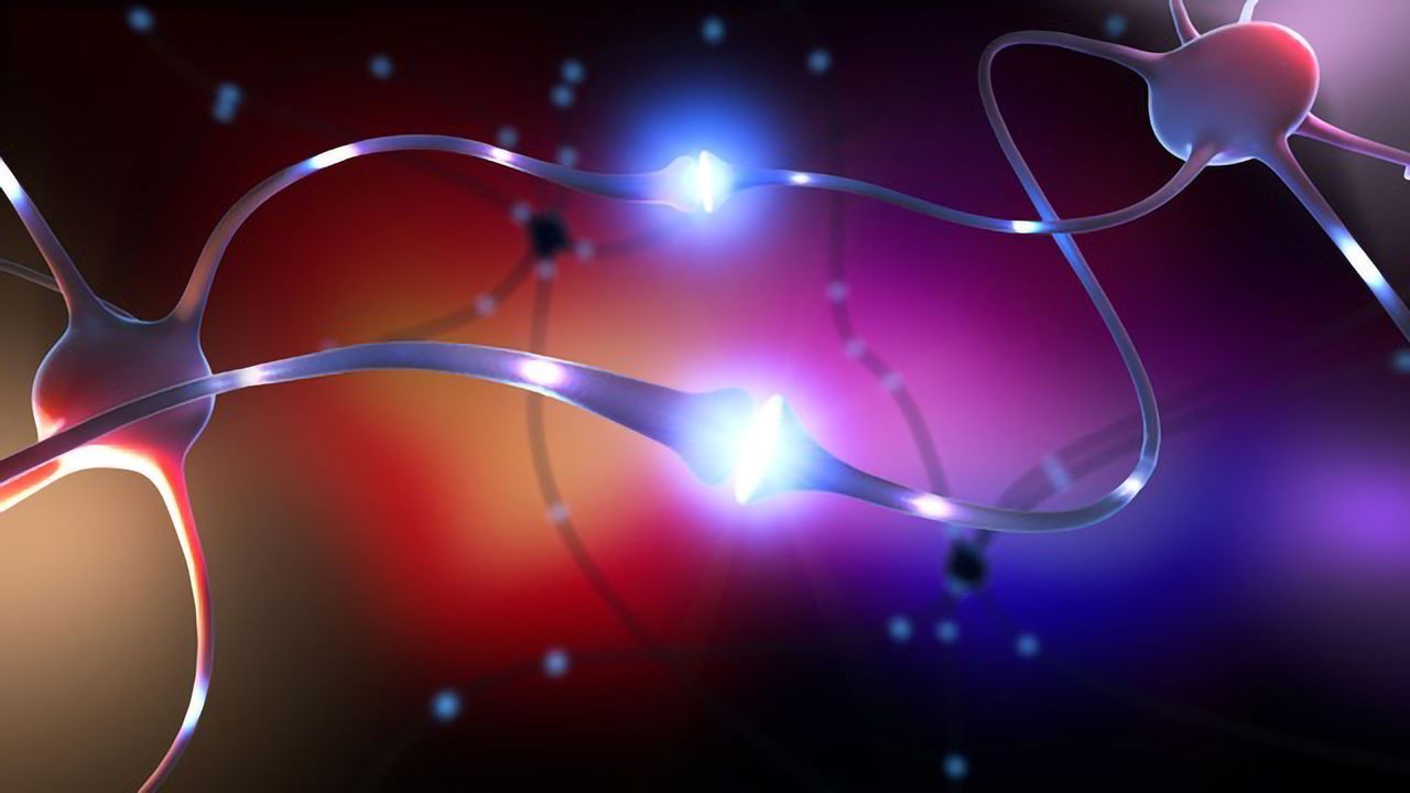 Targeting the Dopamine Receptor Pathway To Treat AML