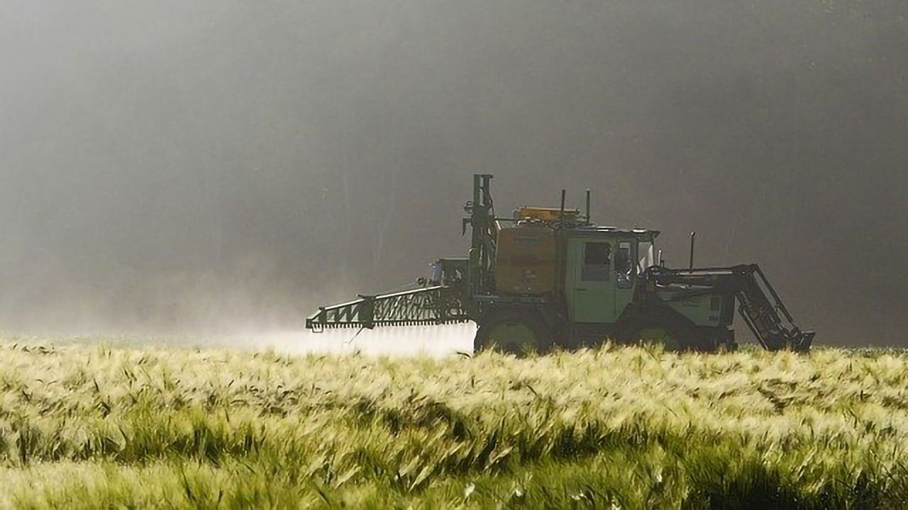 Previously Used Pesticides Persist on Organic Farms for Decades