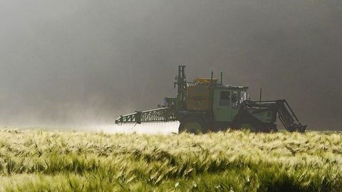 Previously Used Pesticides Persist on Organic Farms for Decades