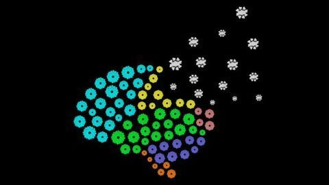 SARM1: A Potential Drug Target for Parkinson's and Alzheimer's Disease