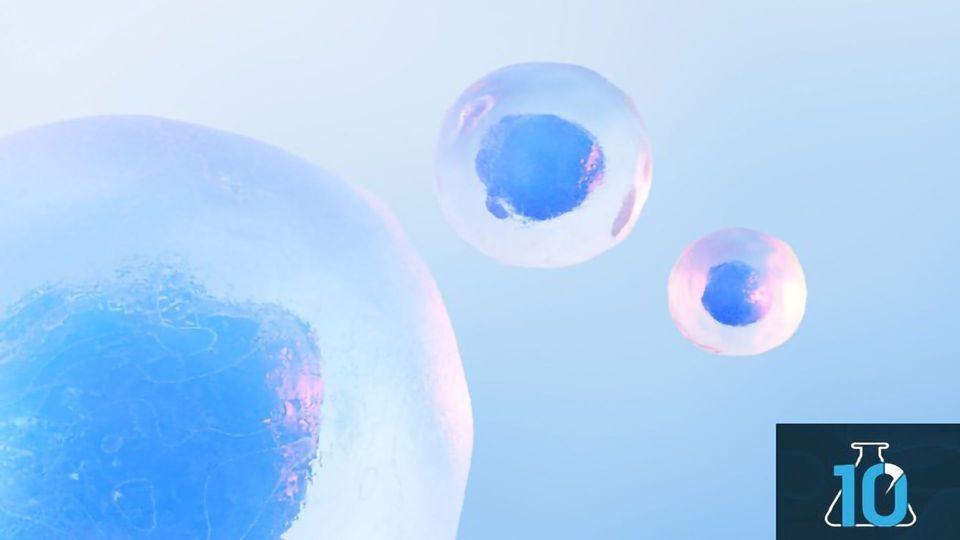 Why Use Stem Cells To Treat Neurological Diseases? With Dr Mariah Lelos  content piece image