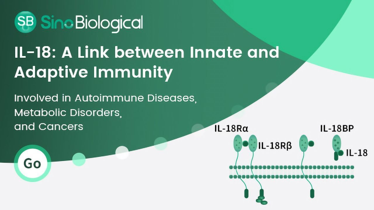 IL-18: A Link between Innate and Adaptive Immunities