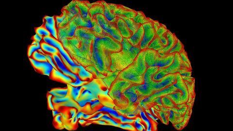 Can Watching Your Brain Waves Reduce Psychiatric Symptoms?