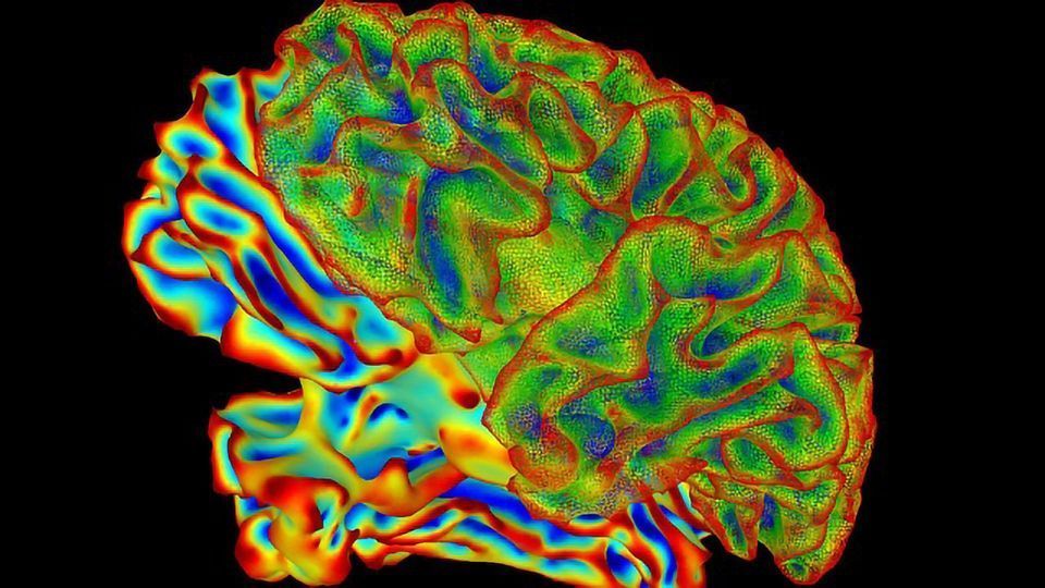 Can Watching Your Brain Waves Reduce Psychiatric Symptoms? content piece image