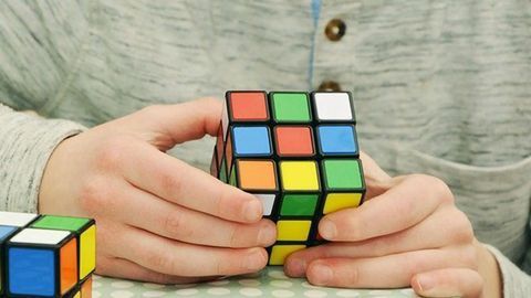 Researchers Explore the Brain During Puzzle-Solving