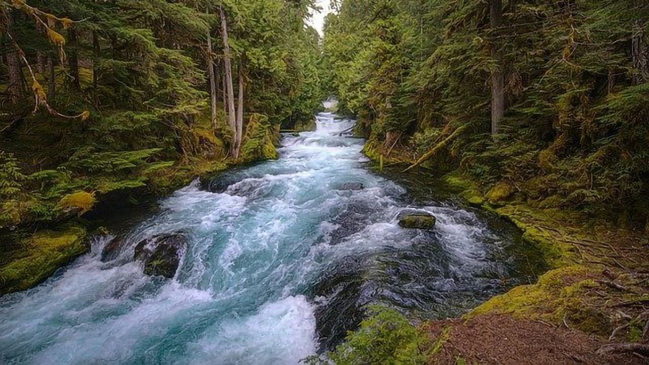 Previously Undetected "Forever" Chemicals Found and Fingerprinted