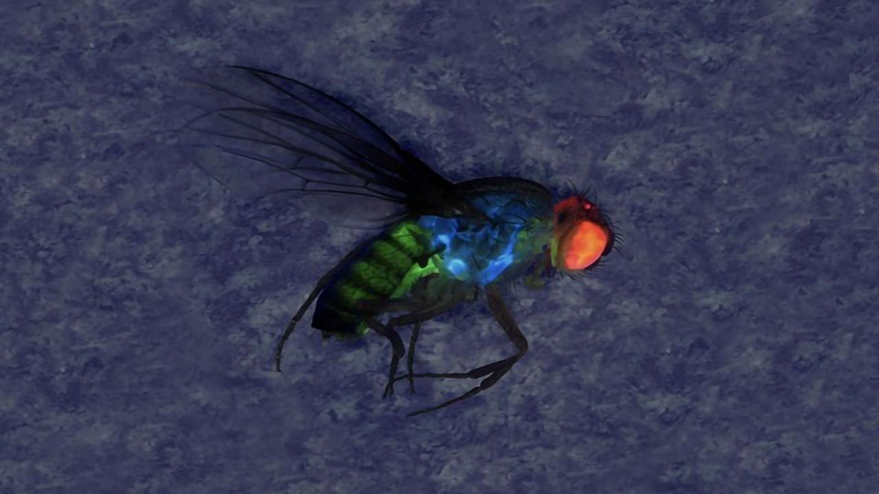 New Method Provides More Control Over Gene Drive Releases