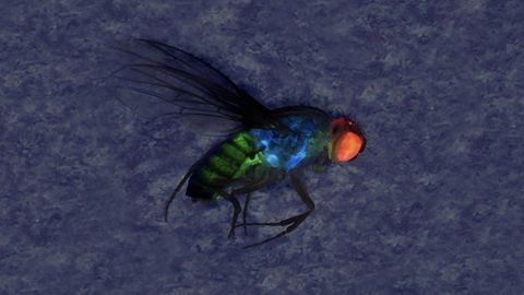 New Method Provides More Control Over Gene Drive Releases