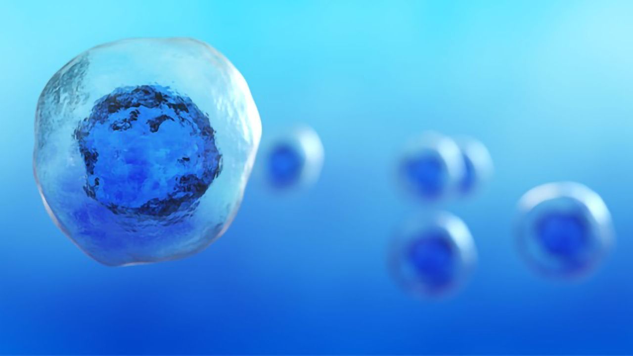 Accelerating Scientific Study With Scalable Single-Cell Sequencing